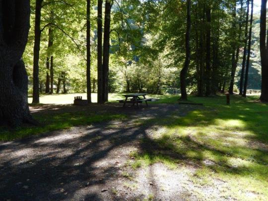 Campsite Details - 052, OLE BULL STATE PARK, PA ...