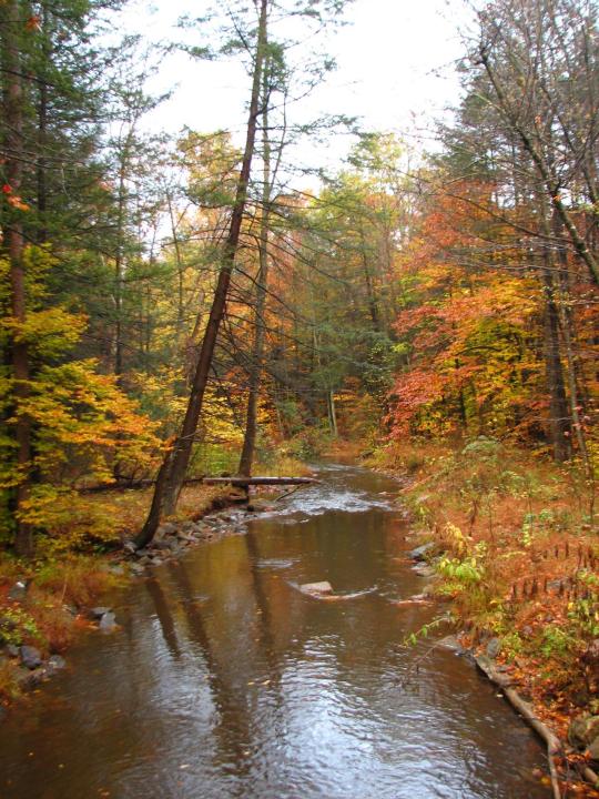 Campground Details Tuscarora State Forest, PA Pennsylvania State Parks