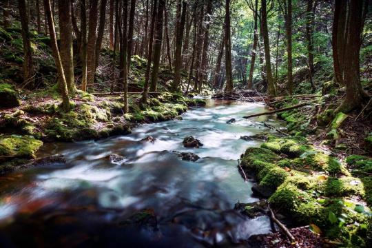 pennsylvaniastateparks.reserveamerica.com
