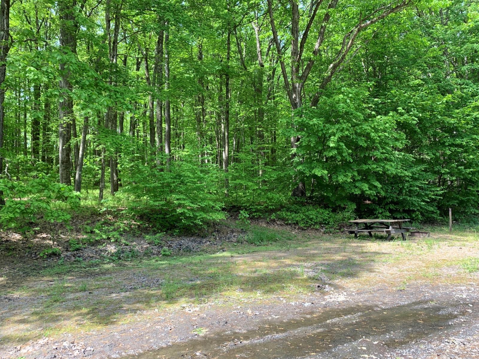 Campsite Details - Gas Well 040, Elk State Forest, PA - Pennsylvania ...