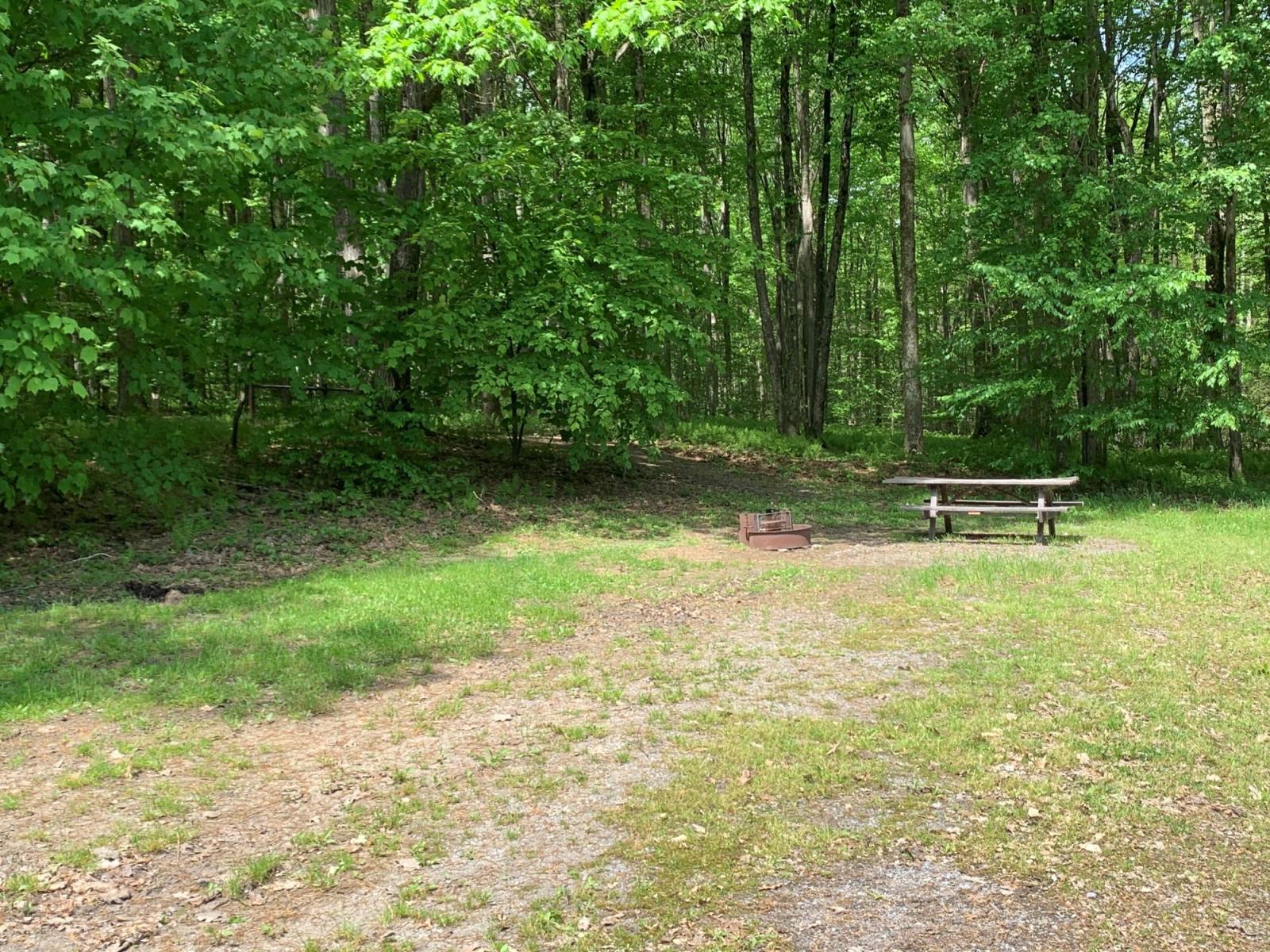 Campsite Details - Gas Well 041, Elk State Forest, PA - Pennsylvania ...