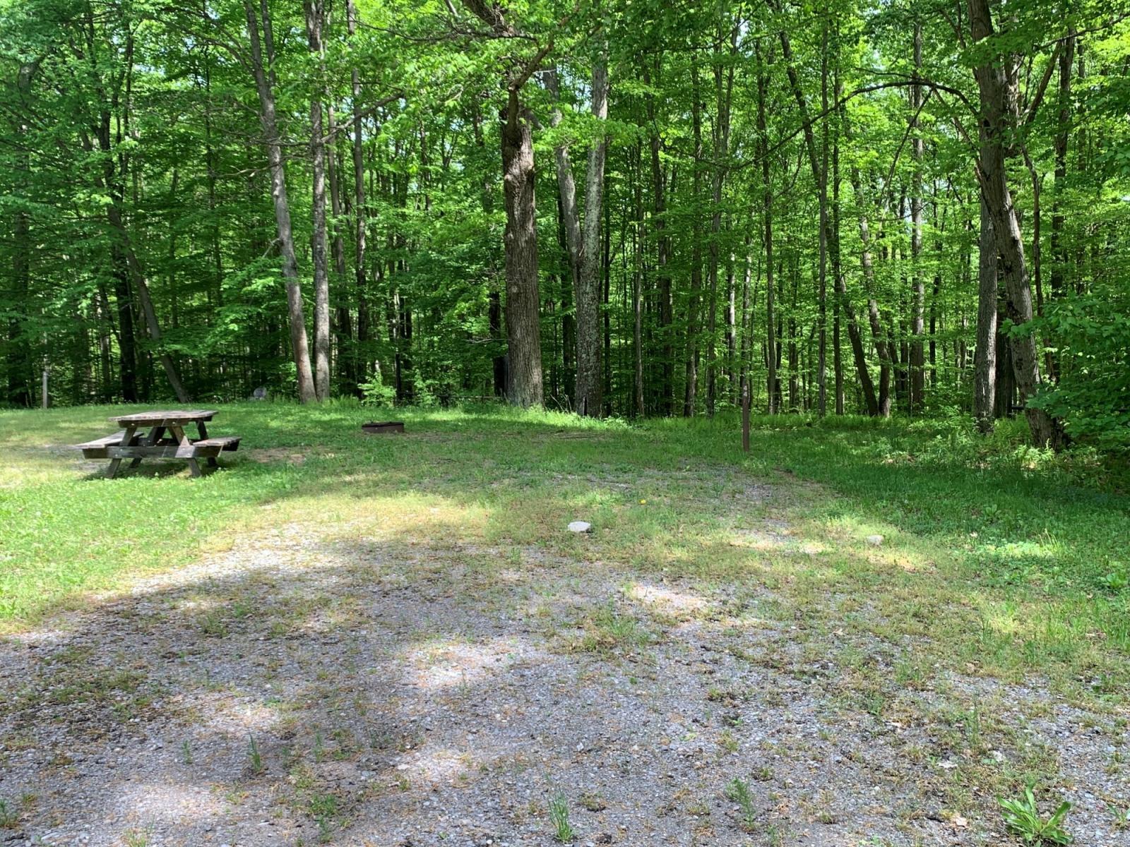 Campsite Details - Gas Well 044, Elk State Forest, PA - Pennsylvania ...