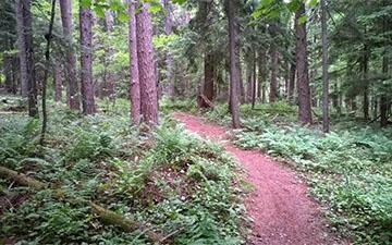 Explore PA Trails